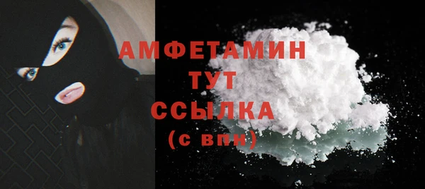 мдпв Ладушкин