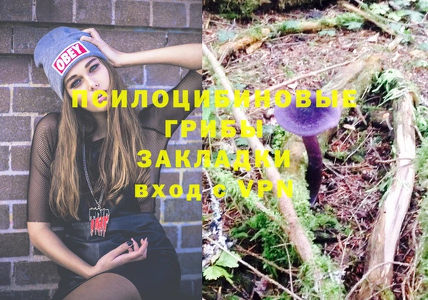 альфа пвп Лагань