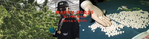 ПСИЛОЦИБИНОВЫЕ ГРИБЫ Куйбышев