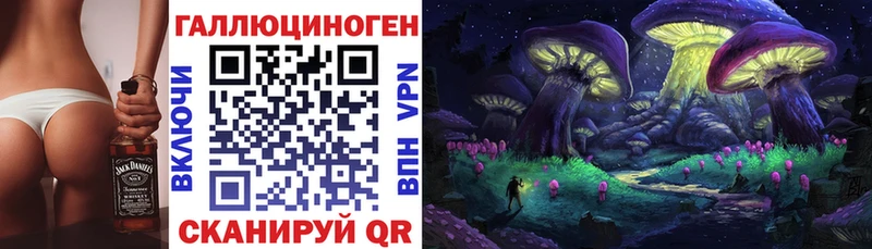 OMG ссылки  Новоалтайск  Галлюциногенные грибы Psilocybine cubensis 