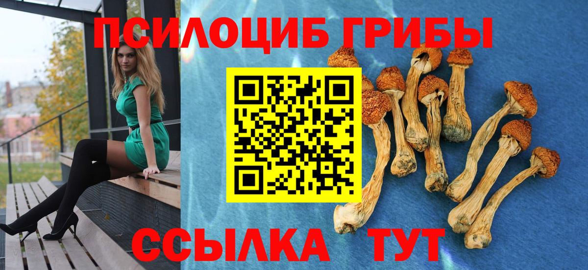 Галлюциногенные грибы MAGIC MUSHROOMS  Псилоцибиновые грибы Magic Shrooms  Вход с VPN  Новоалтайск 