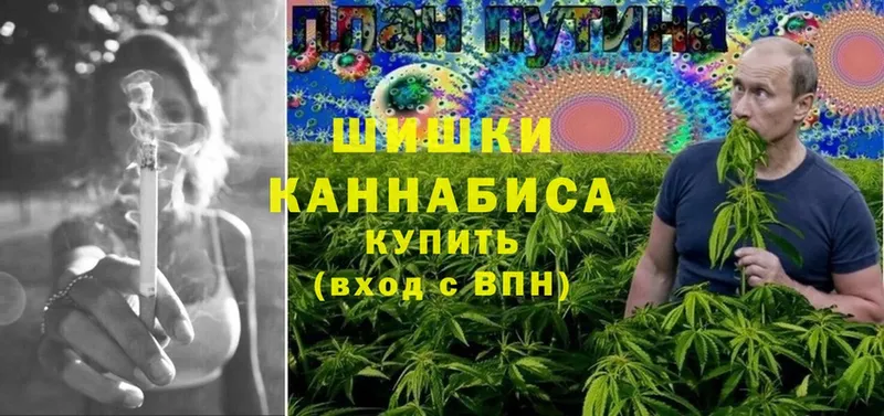 mega онион  Новоалтайск  Бошки марихуана SATIVA & INDICA  хочу наркоту 